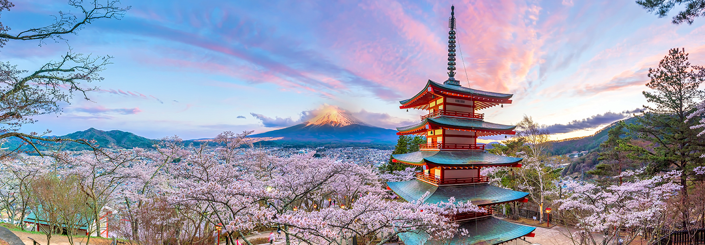 Yokoso Japan with Cherry Blossom