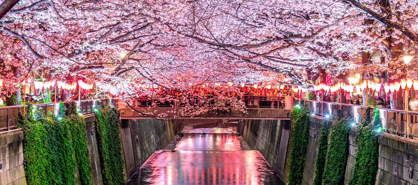Tokyo – The busy capital of Japan