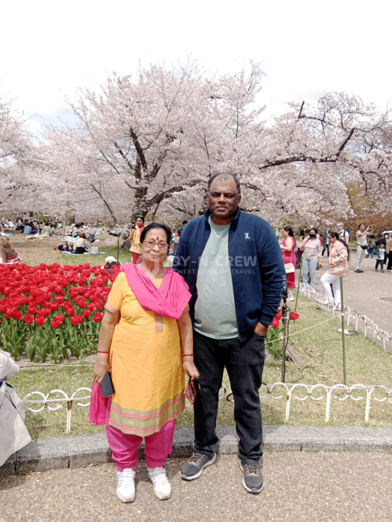 Cherry Blossom Japan x JNC 27th March 2023
